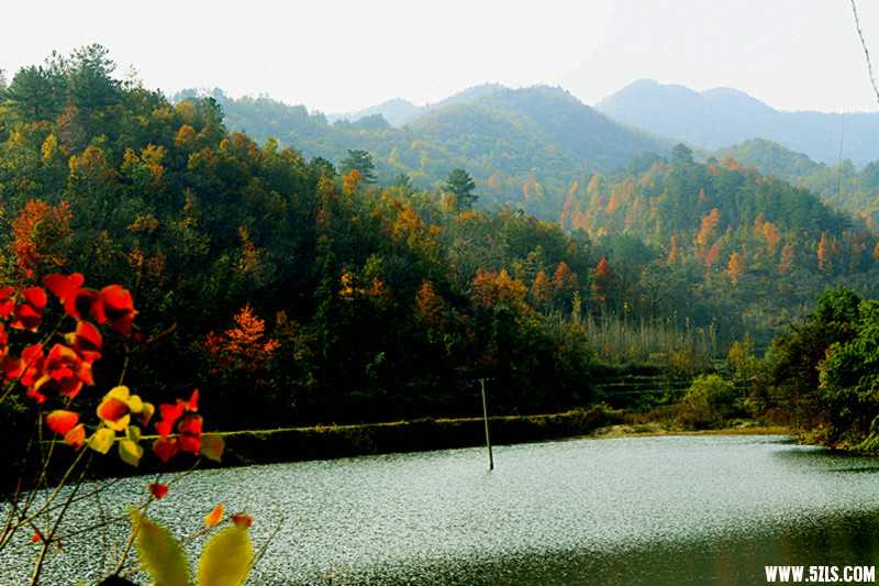 _MG_0874_.jpg