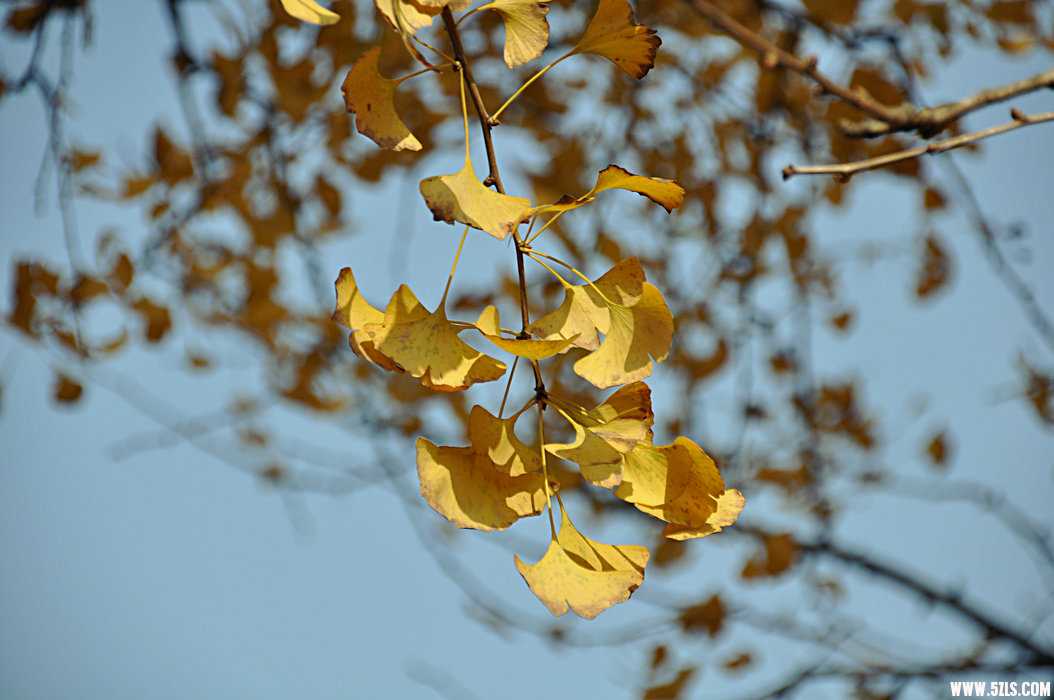 DSC_0020.JPG