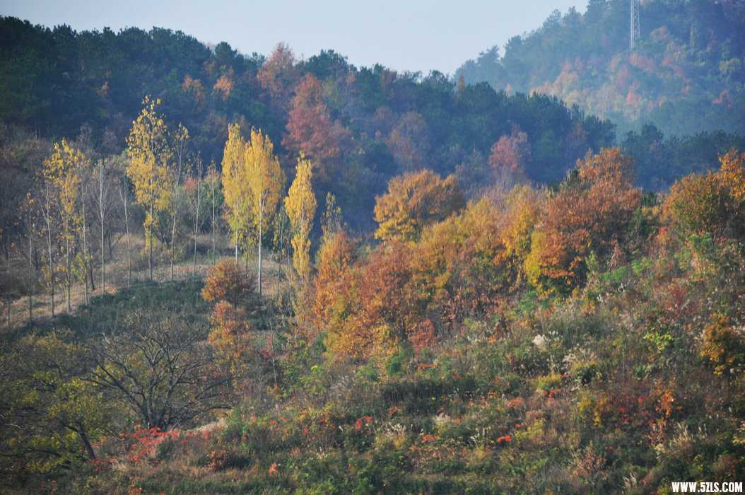 DSC_0090.JPG