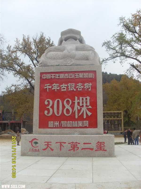 psbCAXUL91P.jpg