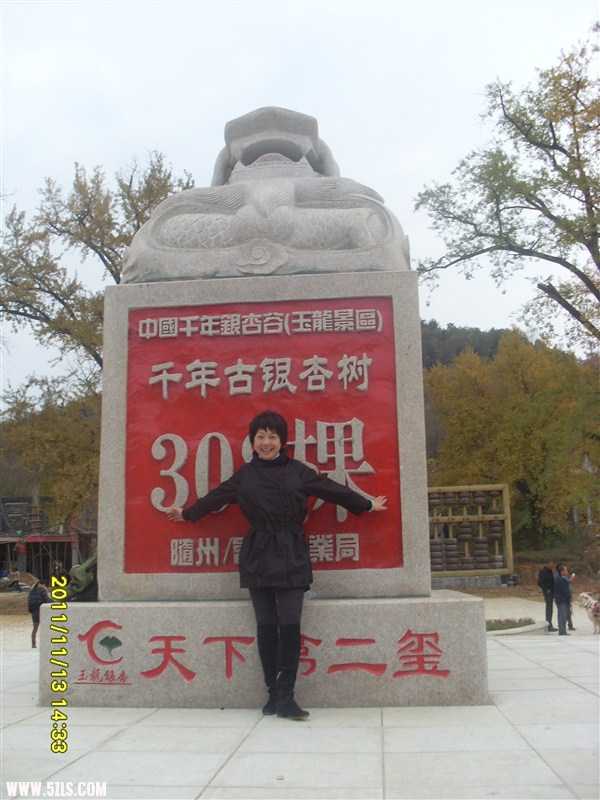 psbCA9330BY.jpg