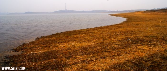 DSC06824.JPG