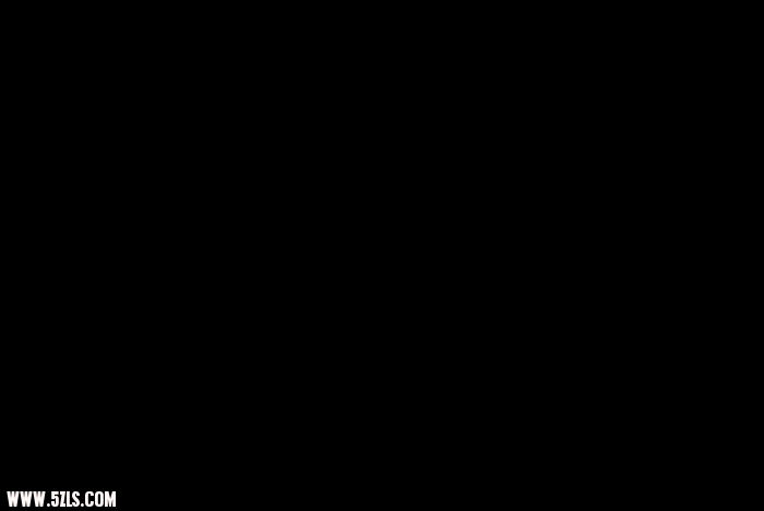 1110181309.jpg