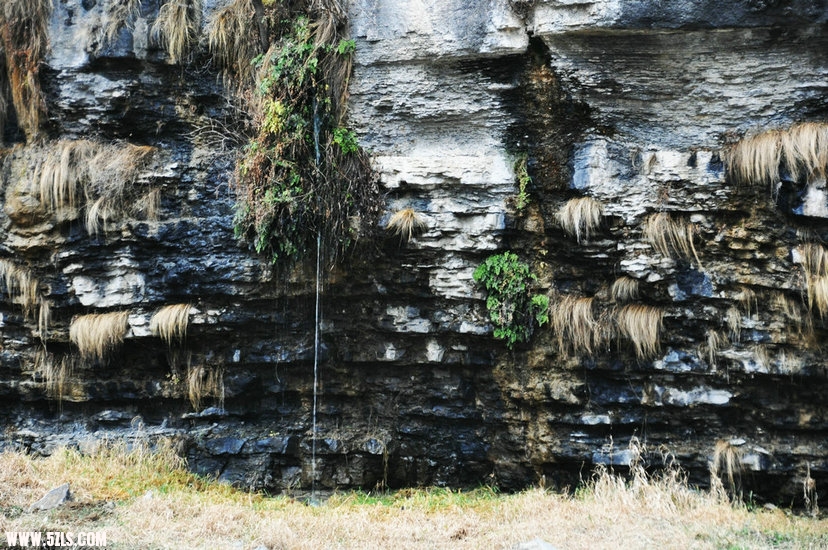 DSC_0106.JPG