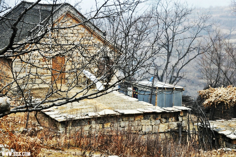 DSC_0242.JPG