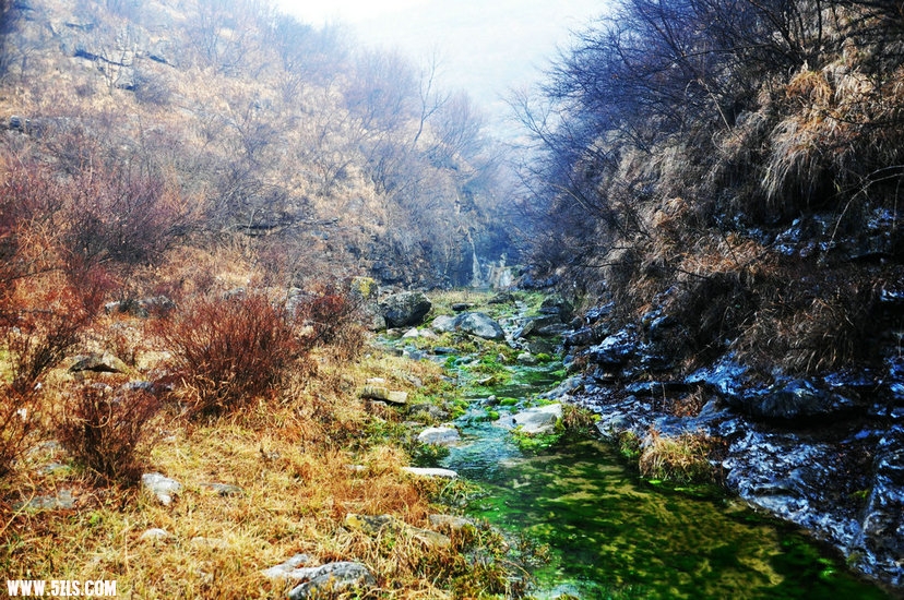 DSC_0255.JPG