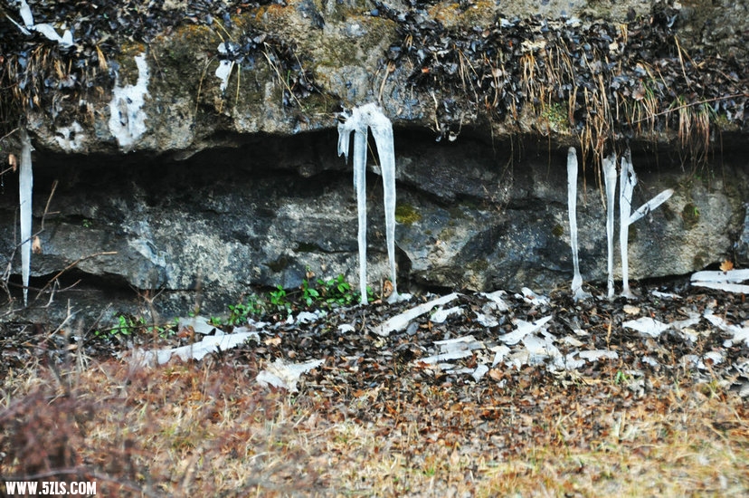DSC_0264.JPG