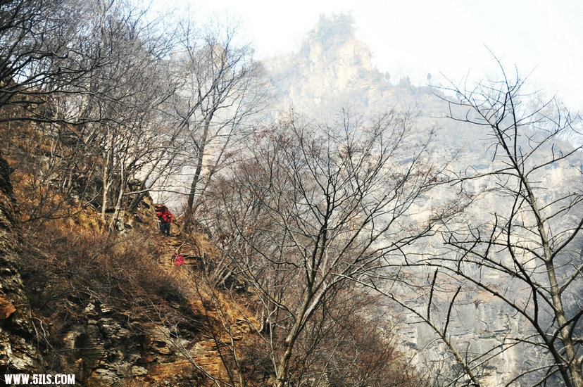 DSC_0321.JPG