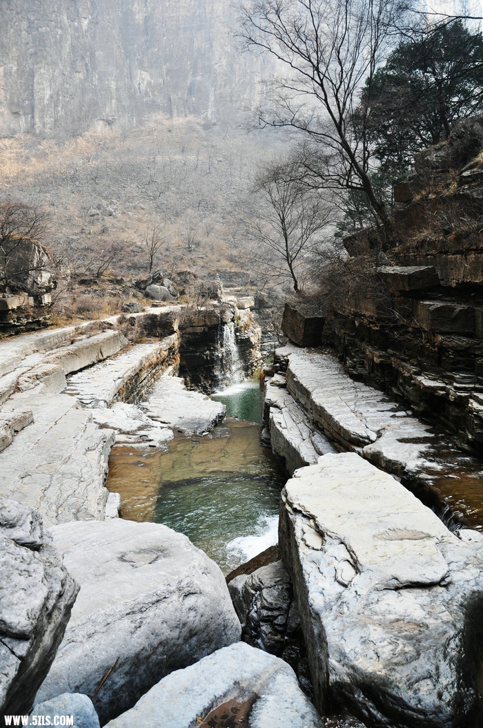 DSC_0409.JPG