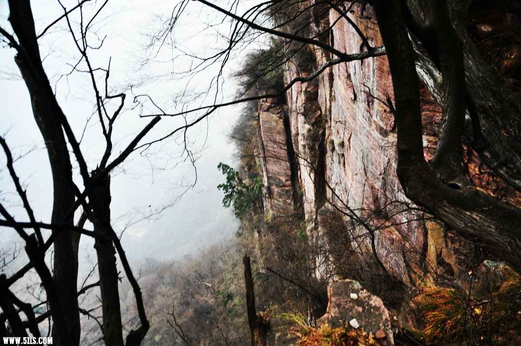 DSC_0485.JPG