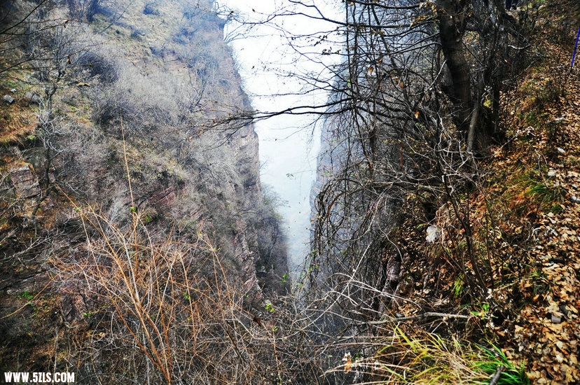 DSC_0483.JPG