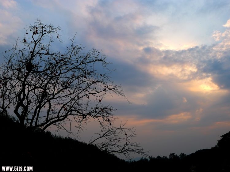 P1010104.jpg