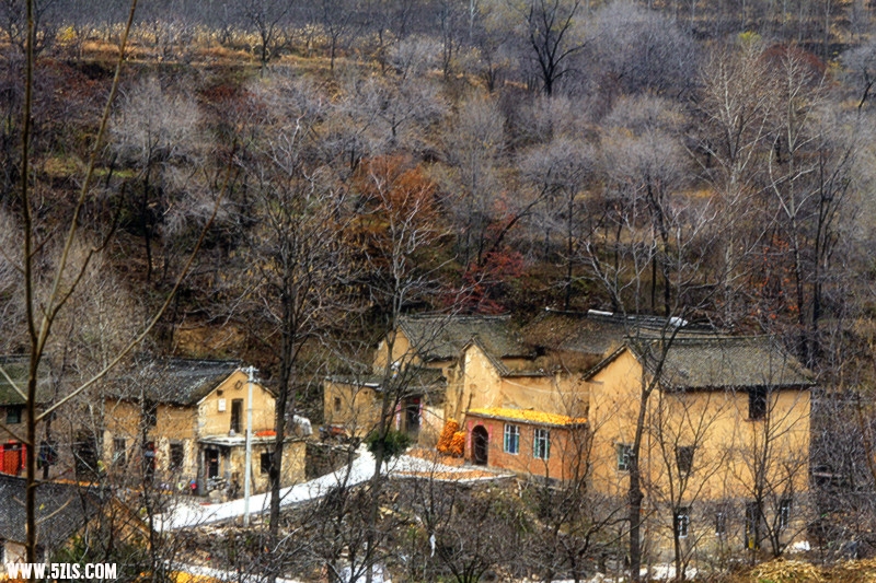 _mg_0073_.jpg