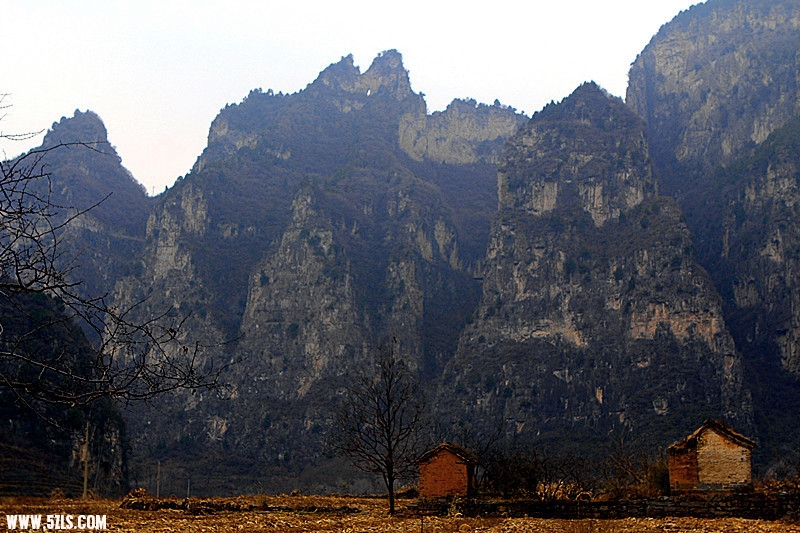 _mg_0082__.jpg