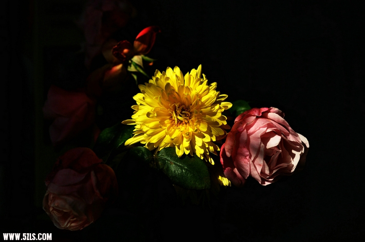 DSC_0037.jpg