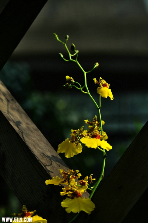 DSC_6788.jpg