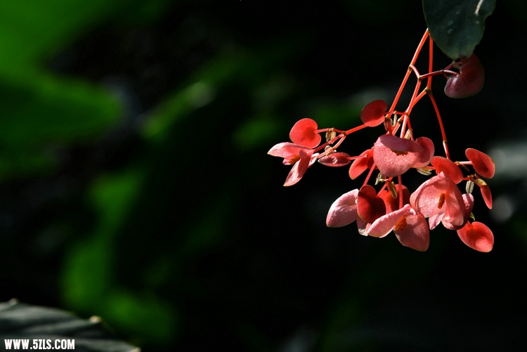 DSC_6820.jpg