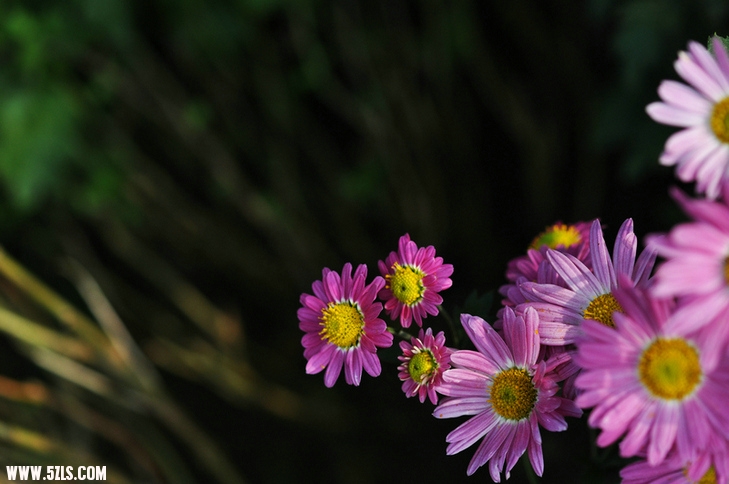 DSC_6922.jpg