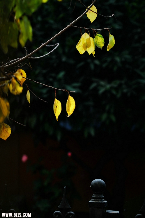 DSC_0040.jpg