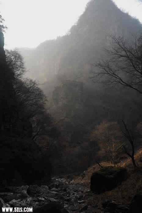 DSC_0193.jpg