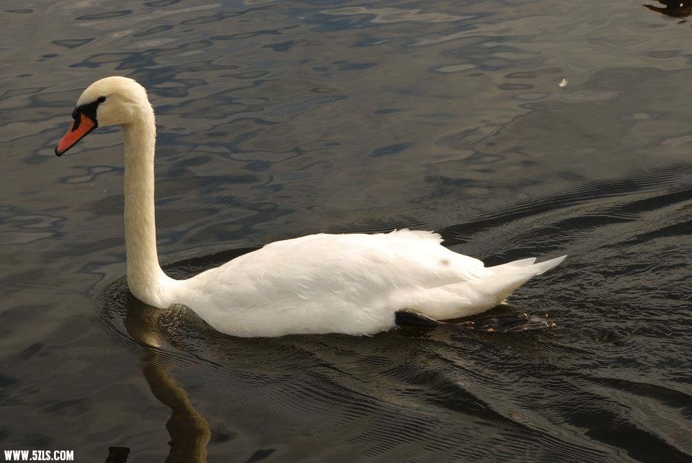 DSC_0020.JPG