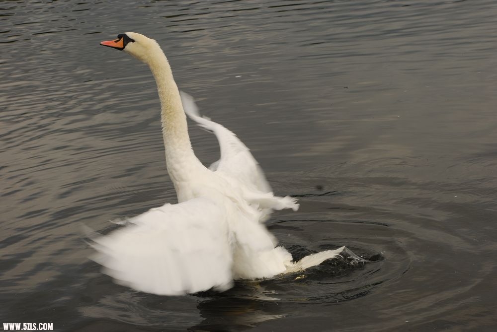 DSC_0027.JPG