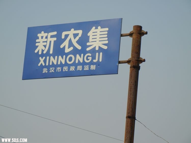 ޱ3.jpg