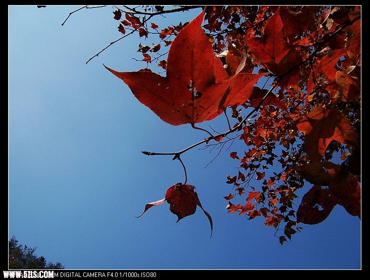 100_8812.jpg