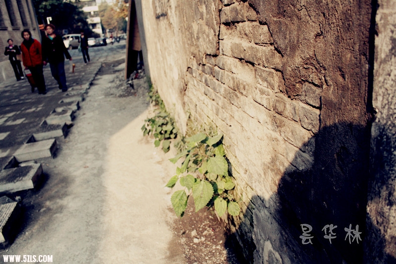 꼻 057__.jpg