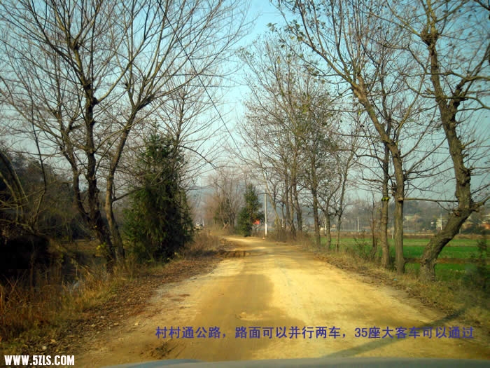 IMG2.jpg