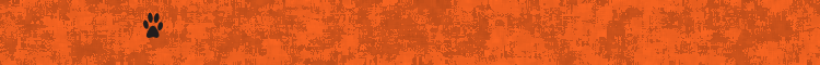 2011Я·.gif