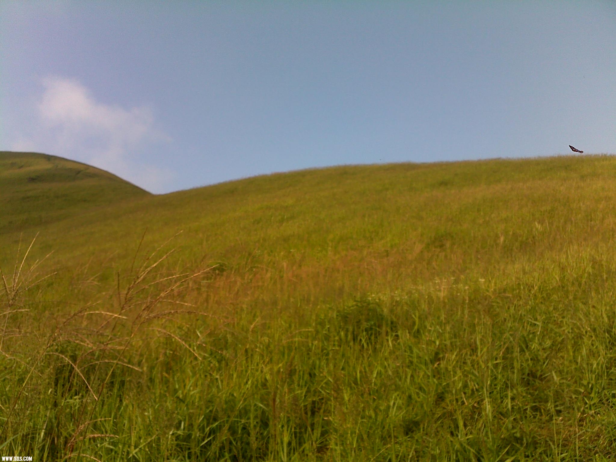 20110904199.jpg