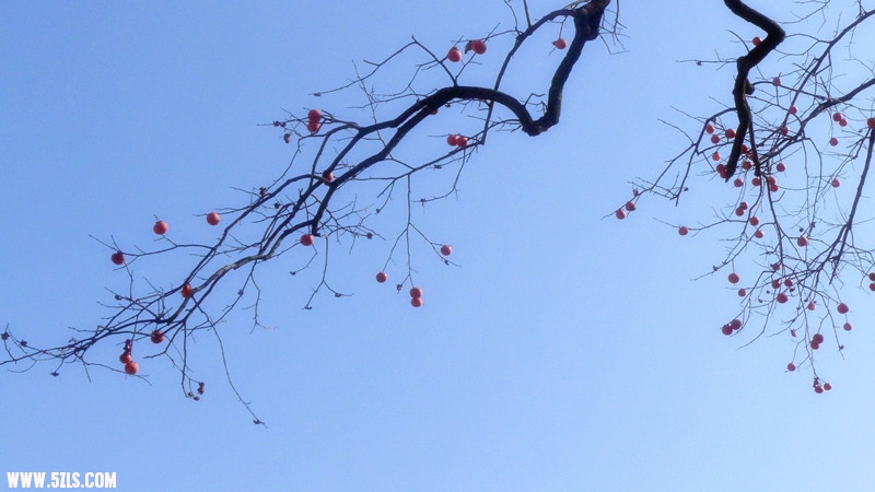 P1000159_.jpg
