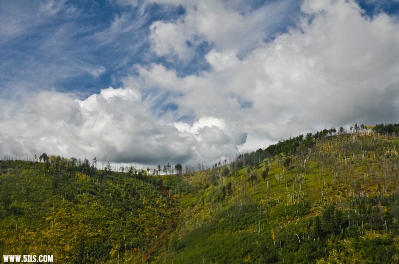 ɶ-251.jpg