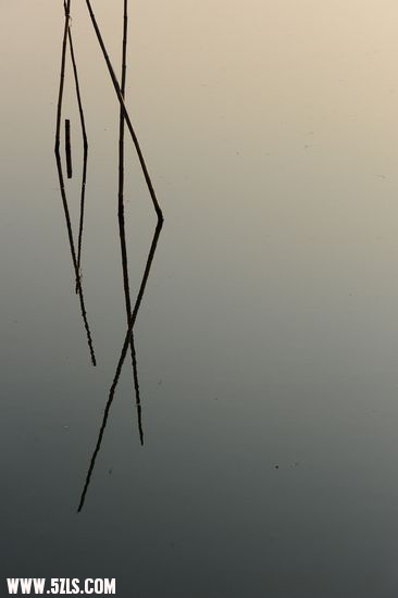 Ծ 479.jpg