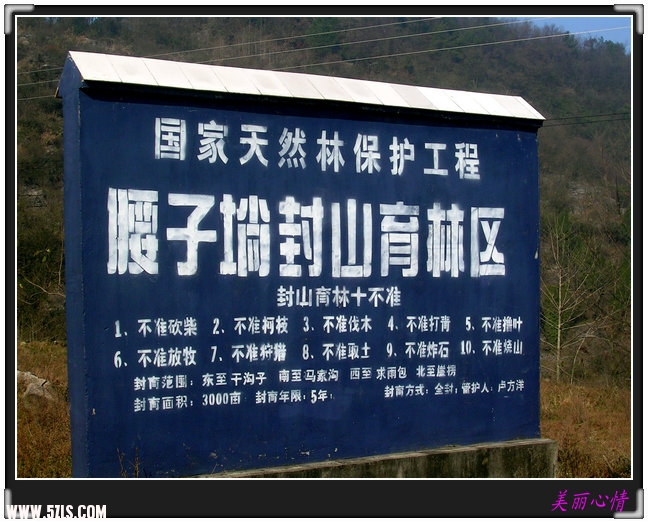 106.jpg