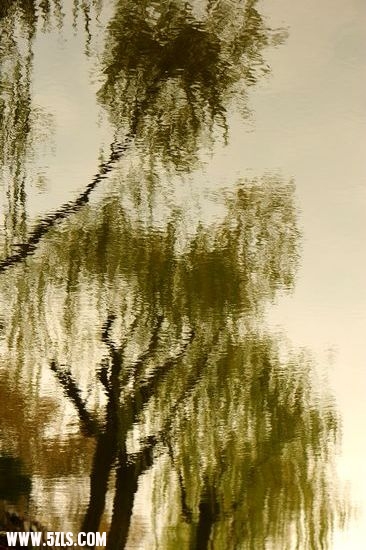  058.jpg