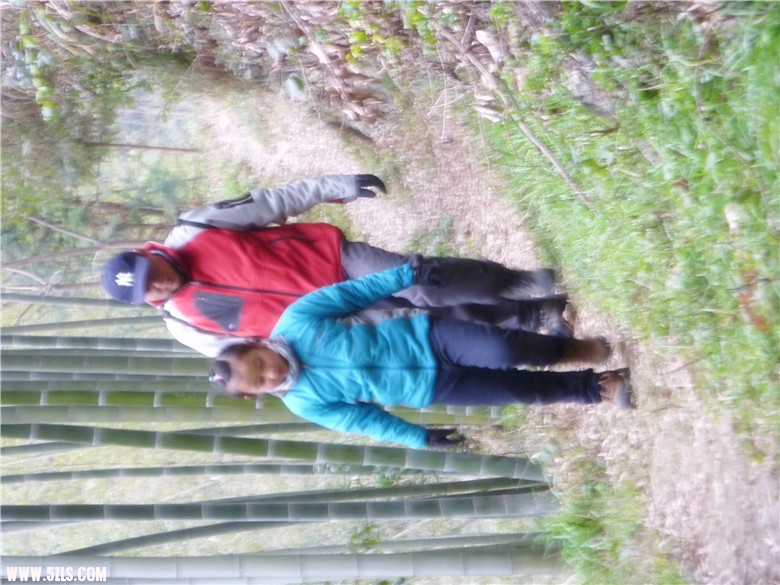 P1100318_.jpg