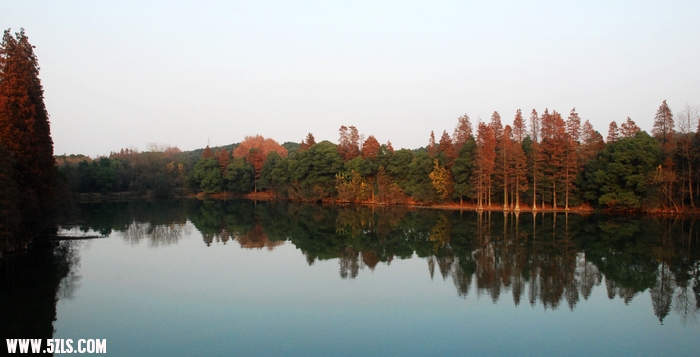 DSC_0291.jpg