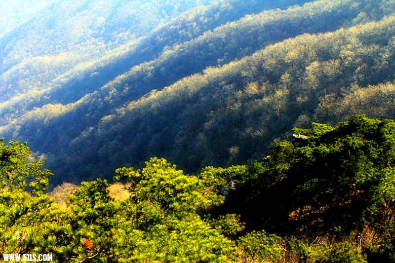 _MG_1451_.jpg