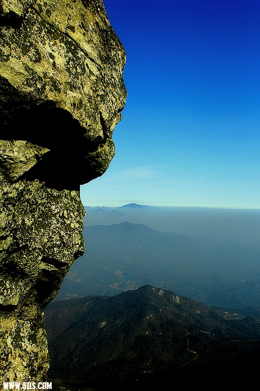 _MG_1417_.jpg