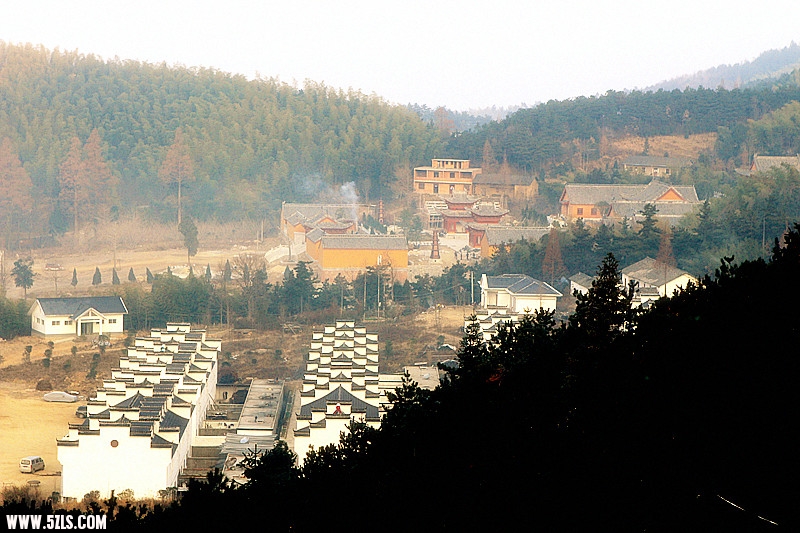 _MG_1286_.jpg