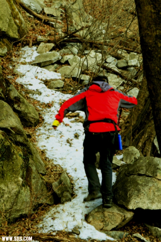 _MG_1432_.jpg