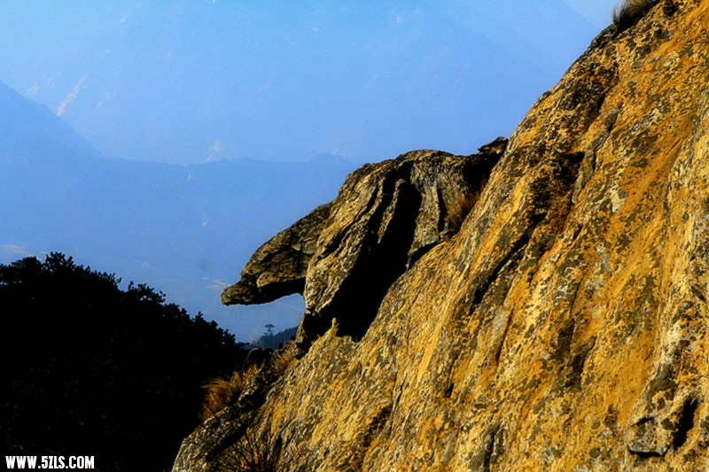 _MG_1350_.jpg