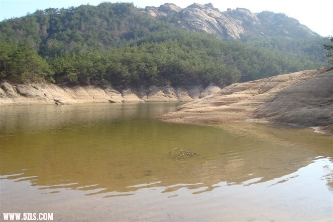 1241.jpg