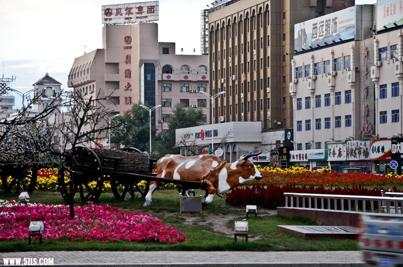 ɶ-296.jpg