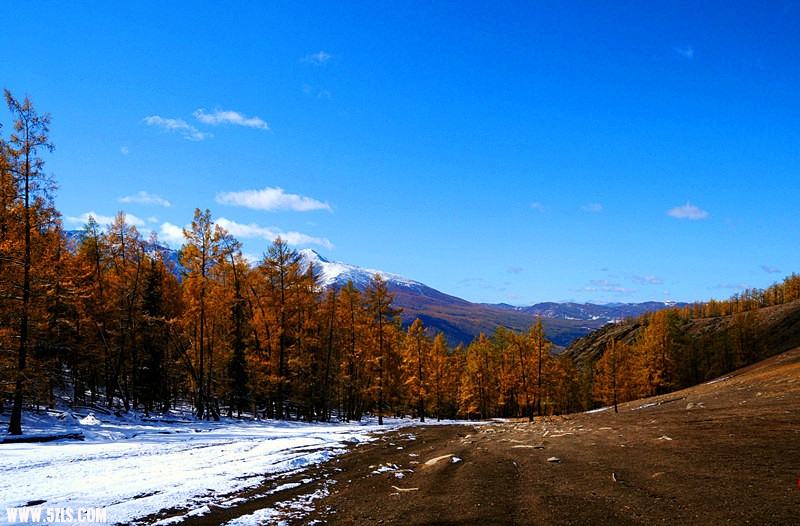 DSC_0986_1.jpg