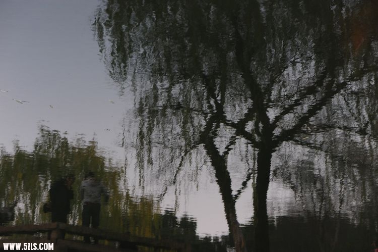 ׯ 455.jpg