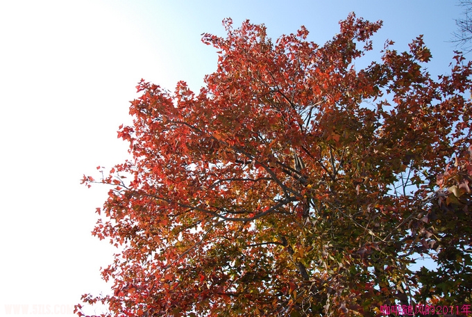 111093.jpg