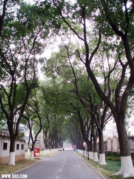 PC270206.JPG